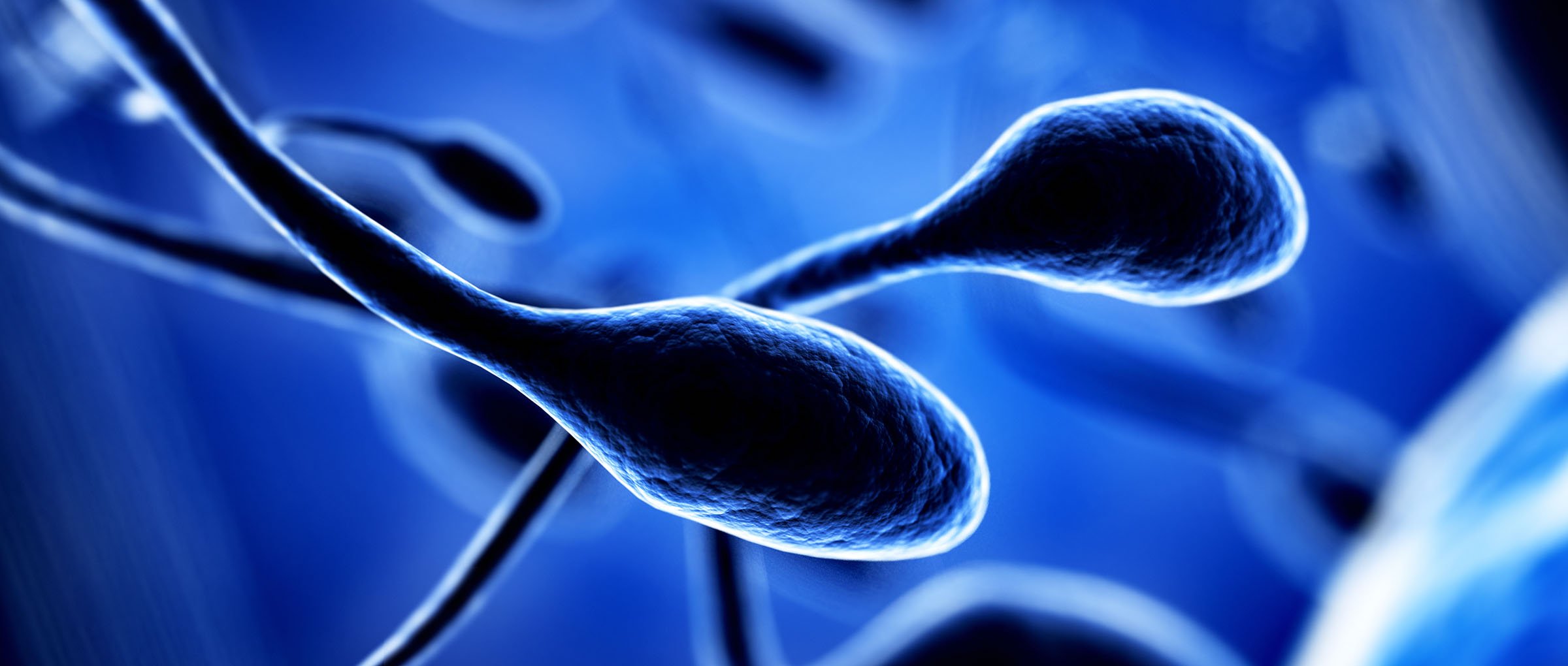 Sperm donors law suits