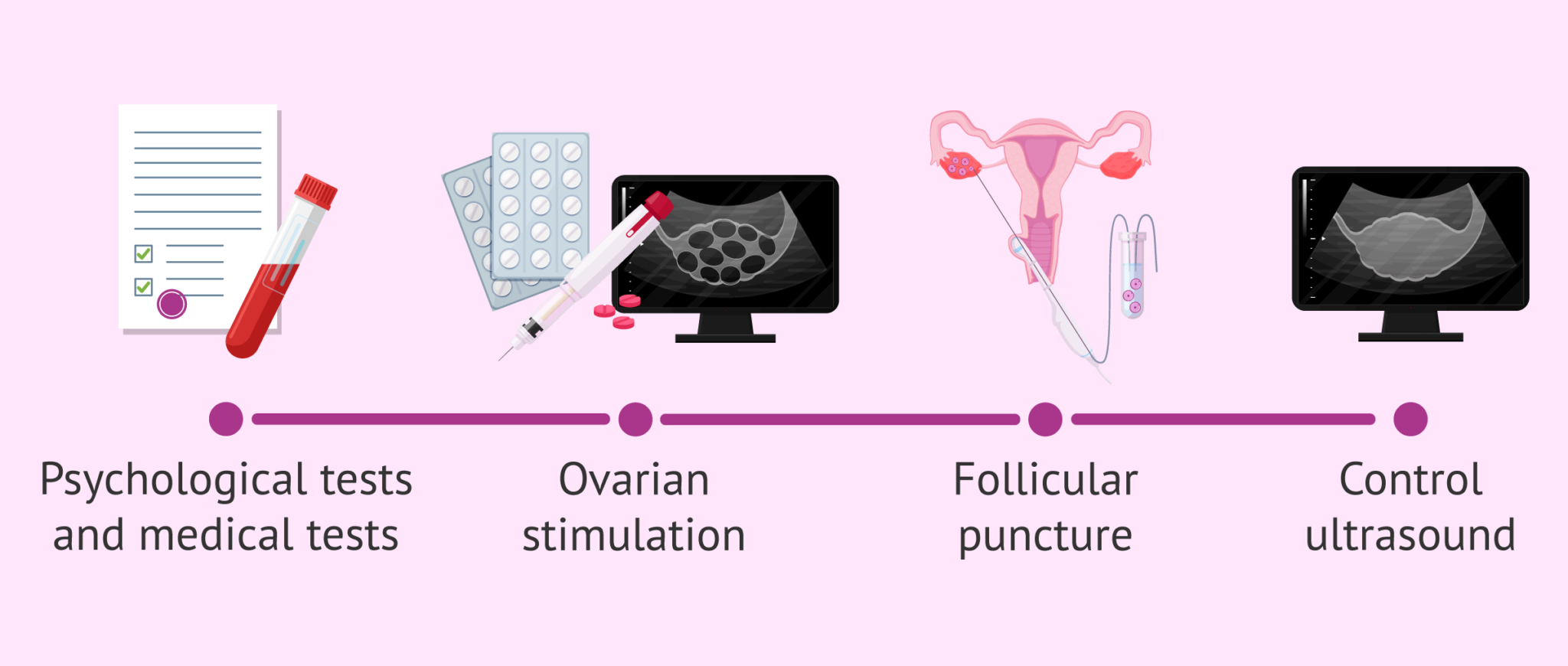 Medical Process For Egg Donation