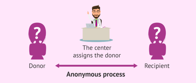 Imagen: Anonymous donor selection by the medical team