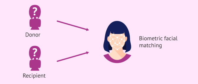 Imagen: Facial matching for egg donor assignment