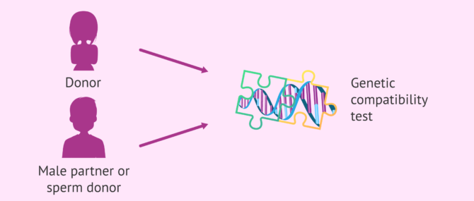 Imagen: Genetic matching or genetic compatibility testing