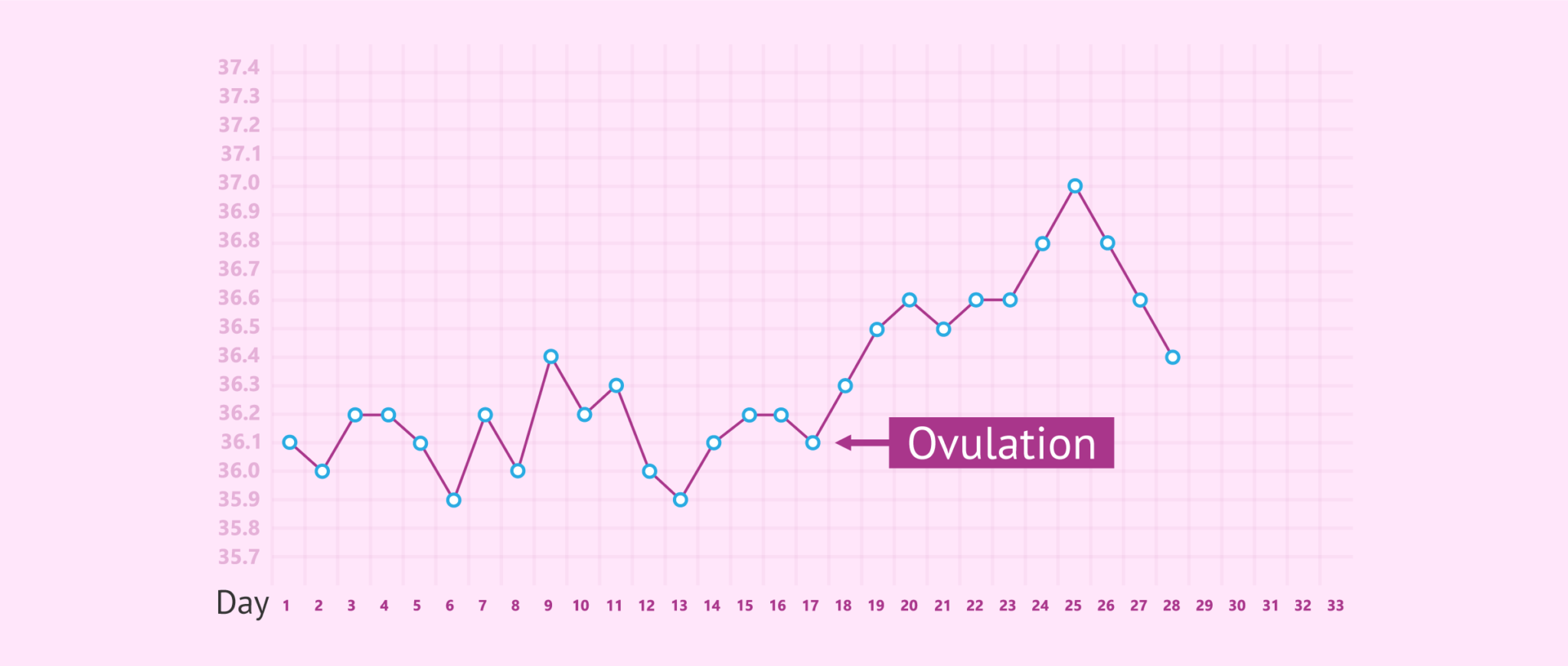 Chart for the basal temperature method