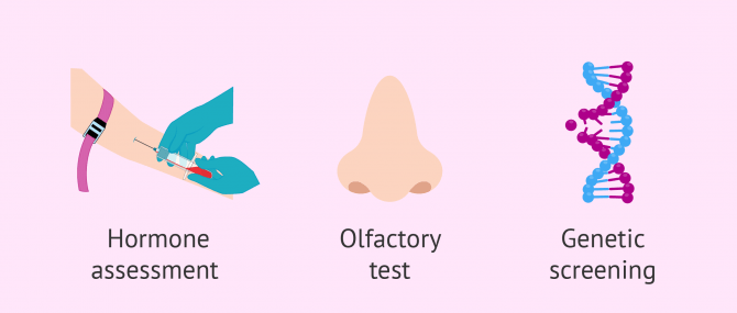 How to diagnose Kallmann syndrome