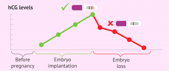 hcg-levels-after-a-chemical-pregnancy