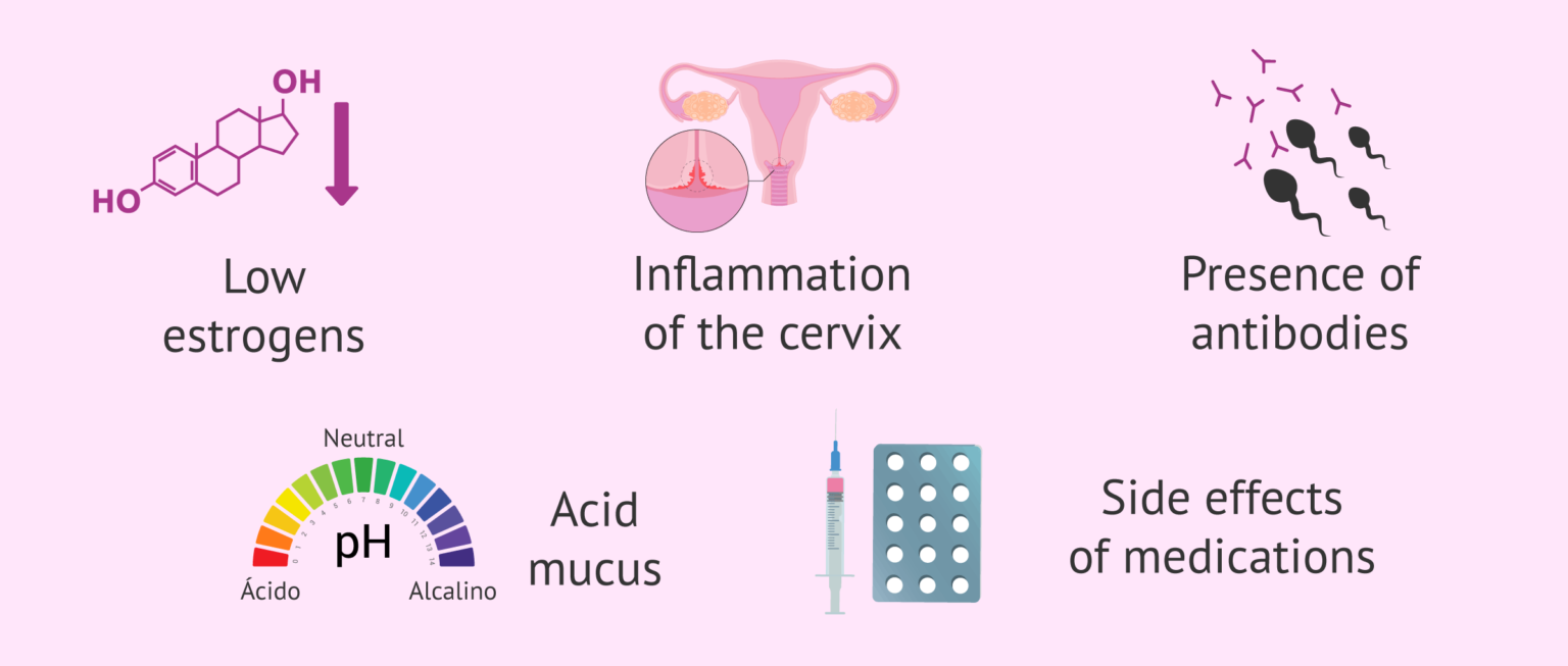 Causes of alterations in cervical mucus