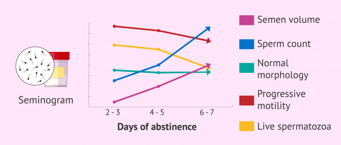 Imagen: How do days of abstinence affect semen quality?