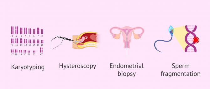 Imagen: Complementary tests at the fertility visit