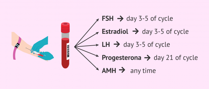 Imagen: Basal hormone analysis