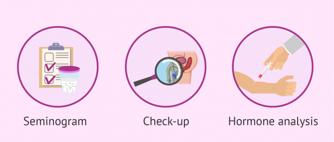 Imagen: Male sterility tests