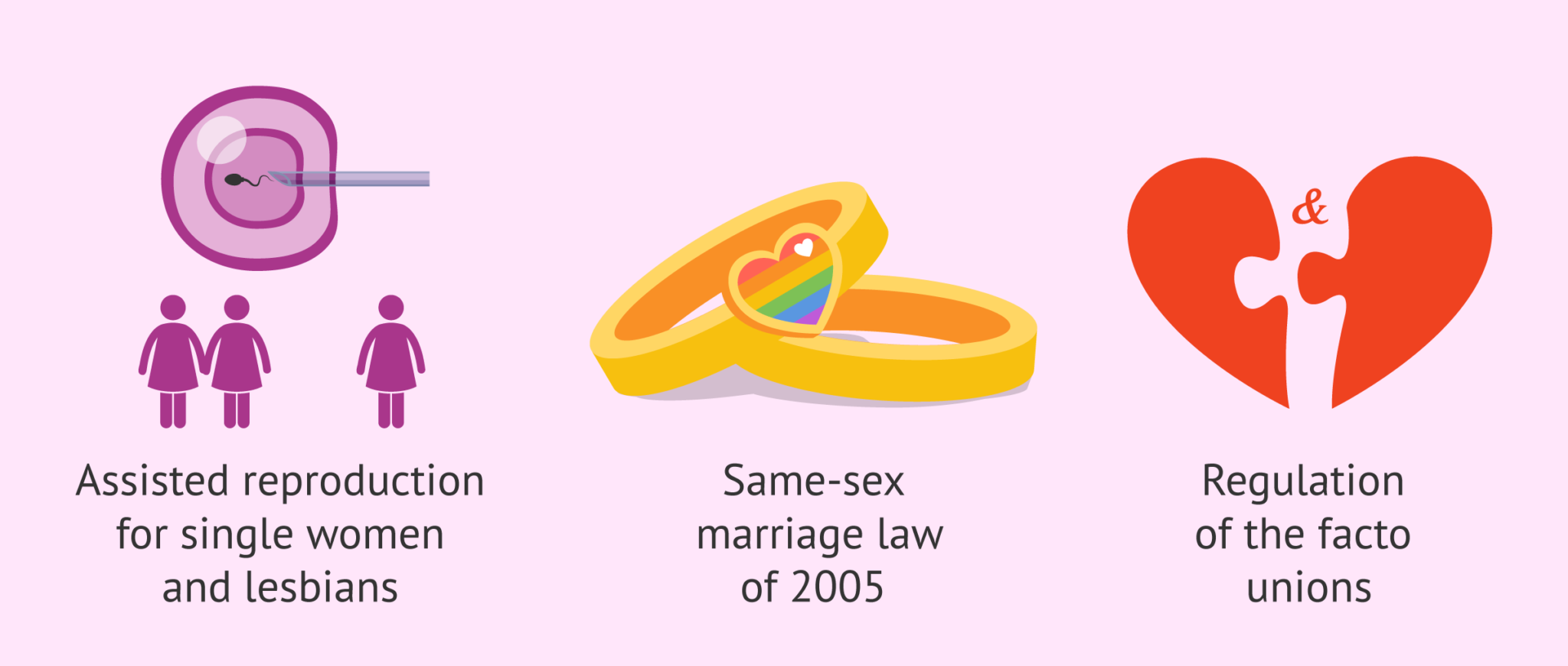 family-diversity-what-are-the-new-family-models