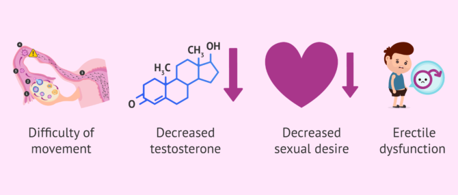 Imagen: Marijuana and male fertility