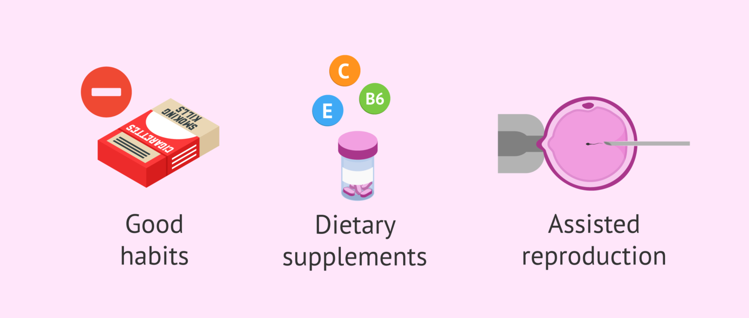 What Is Sperm Morphology? - Meaning & Normal Range