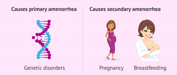 Primary And Secondary Causes Of Amenorrhea