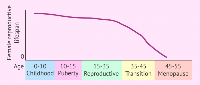 Imagen: Female reproductive lifespan graph