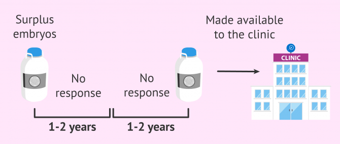 Imagen: Abandoned embryos become available to the clinic