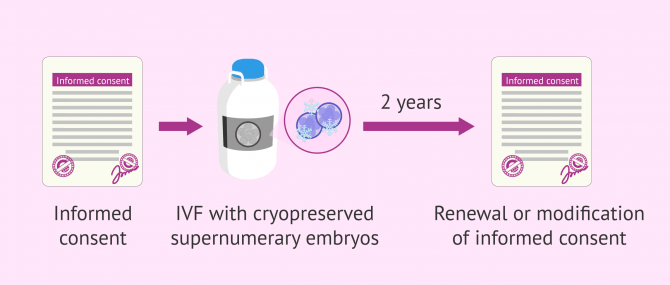 Imagen: Informed consent on the fate of supernumerary embryos