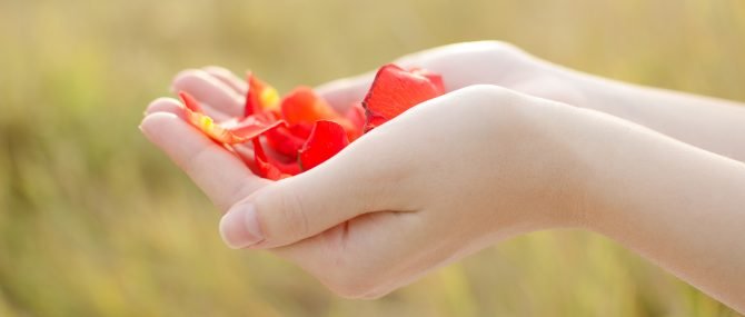 Using donor eggs in Cyprus