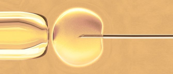 Assisted Reproductive Technology in Spain