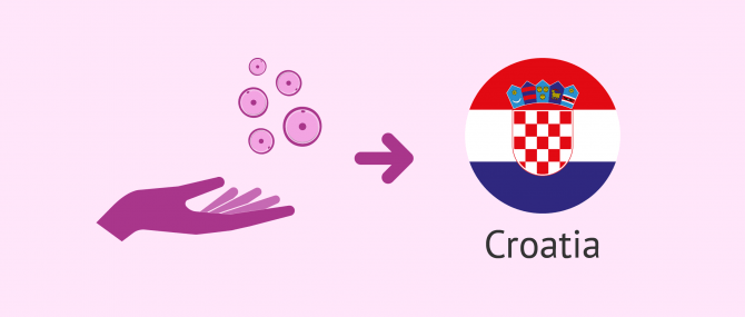 How does egg donation work in Croatia?