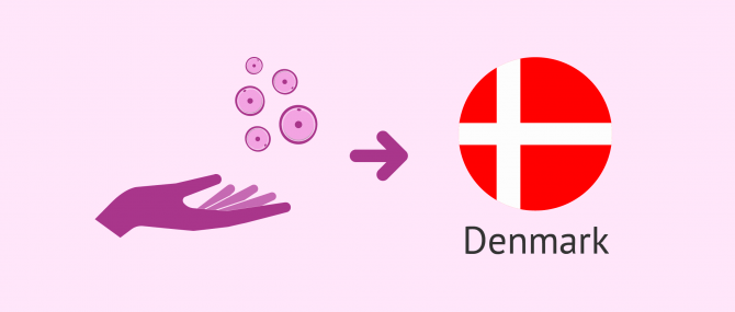 How does egg donation work in Denmark?