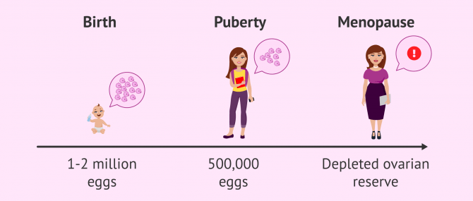 Imagen: Decreased ovarian reserve