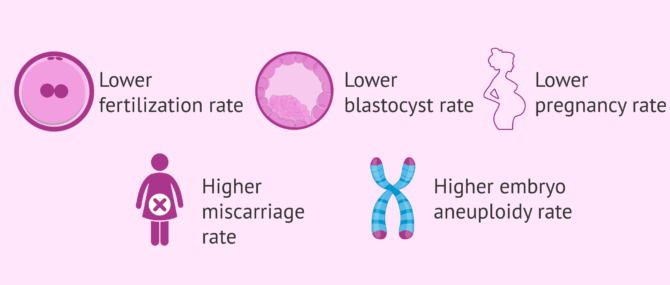 Imagen: Effects of paternal age in assisted reproduction