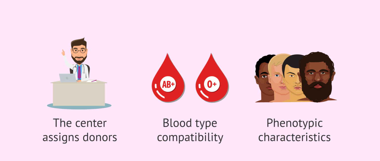 sperm-donor-allocation-criteria