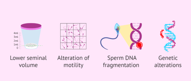 Imagen: Effect of age on semen quality