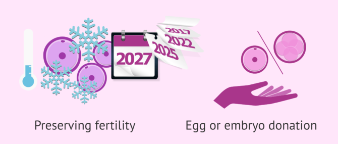 Imagen: Options to avoid the consequences of age on egg quality