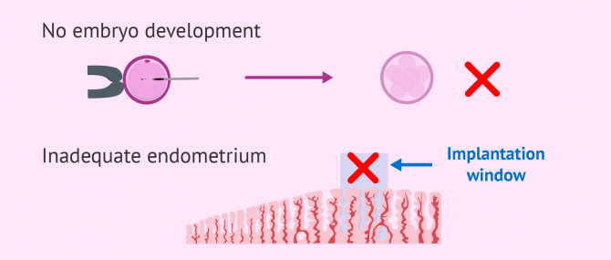 Reasons to cancel IVF embryo transfer