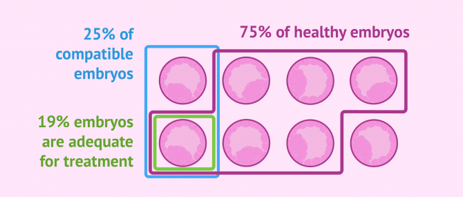 Success rates of PGD with HLA typing