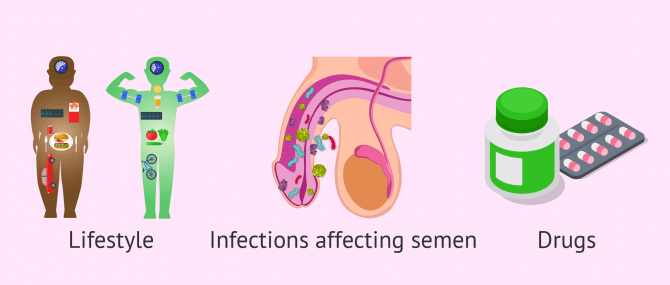 Causes of treatable teratozoospermia