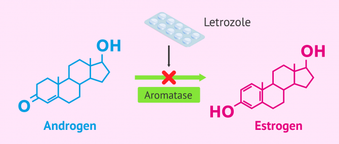 Letrozole