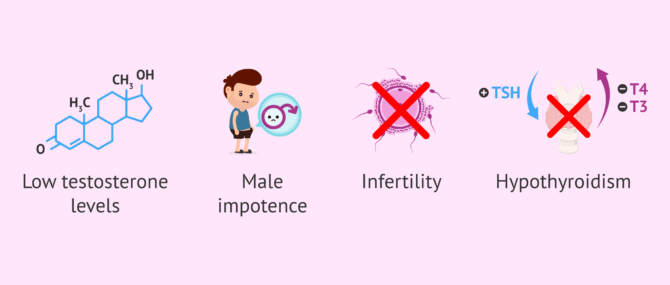 Imagen: Consequences of high prolactin levels in men