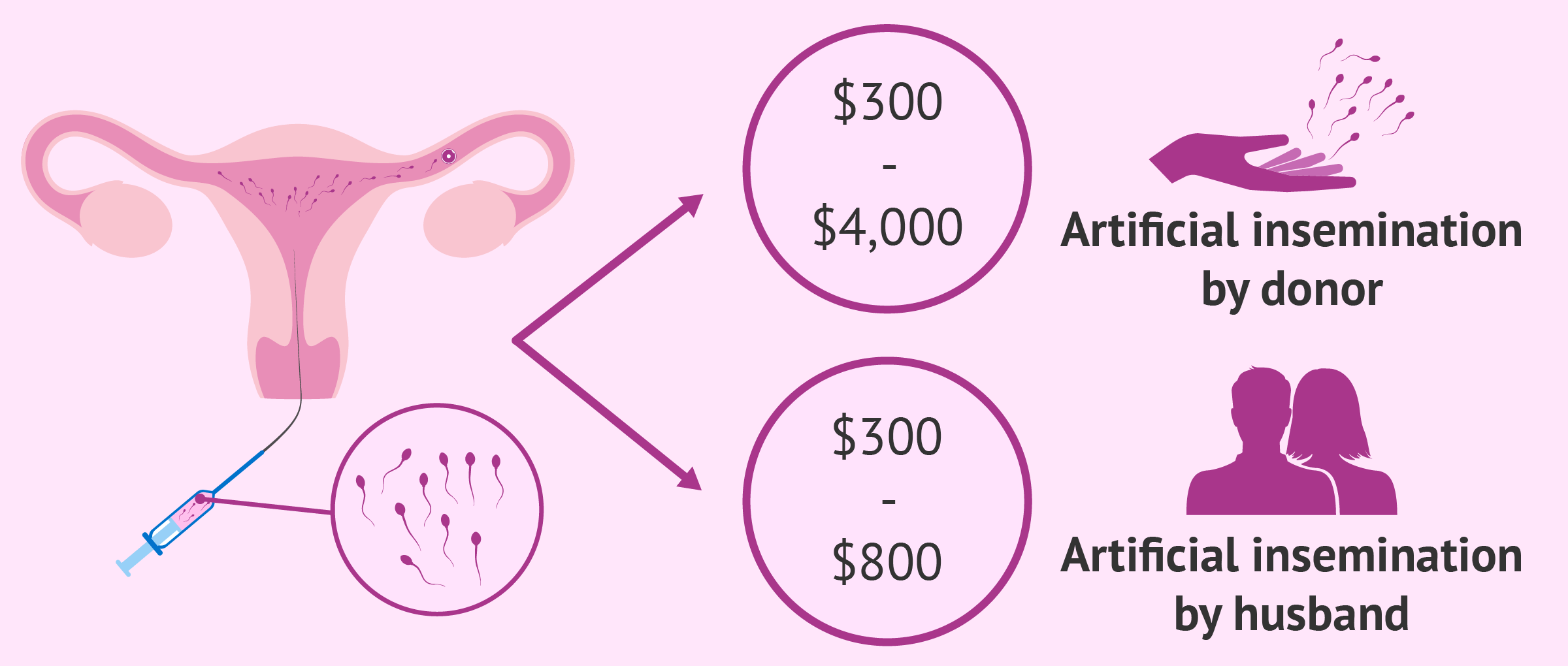 How Much Does Intrauterine Insemination Cost 