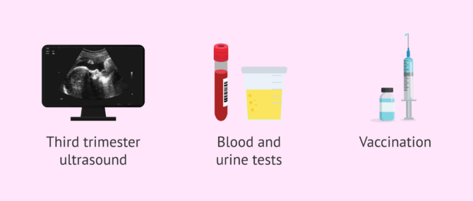 Imagen: Medical tests in the eighth month of pregnancy