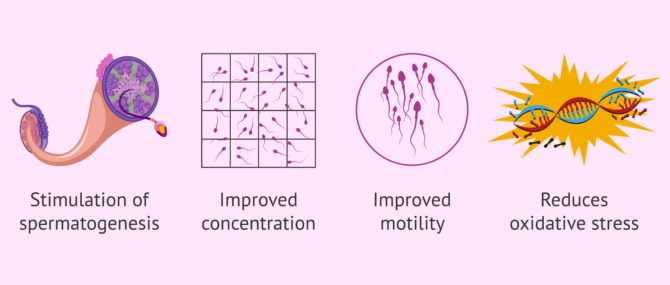 Imagen: Advantages of acupuncture for male fertility