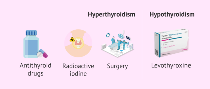 Imagen: Thyroid gland control