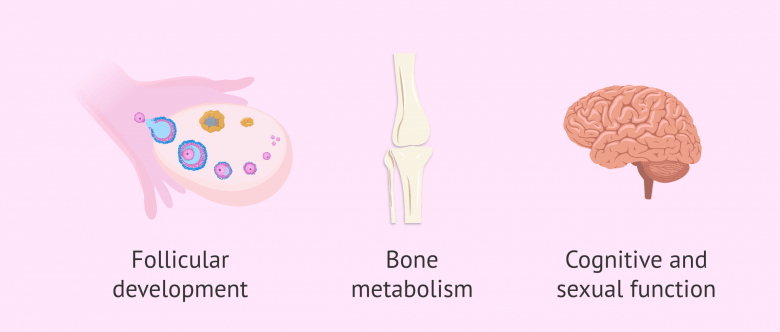 Testosterone hormone: what is its function in men and women?