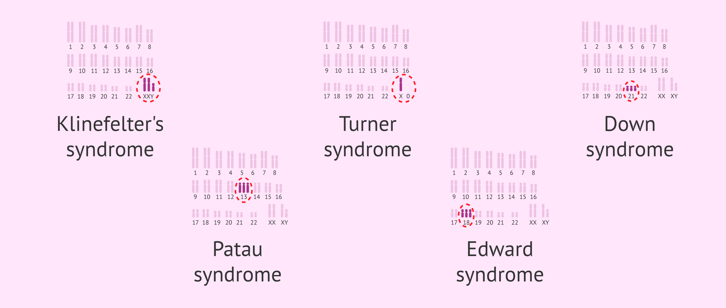 Imagen: Numerical chromosomal alterations