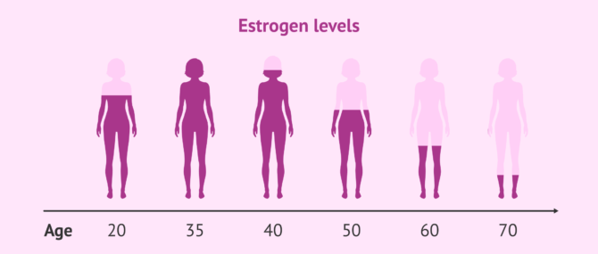 Imagen: Variation of estrogen levels with age