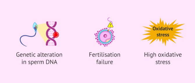 Imagen: What effects does diabetes have on male fertility?