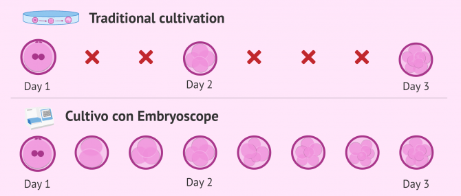 Imagen: Embryoscope cultivation vs. traditional cultivation