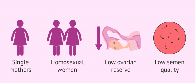 Imagen: When to use doble donor IVF