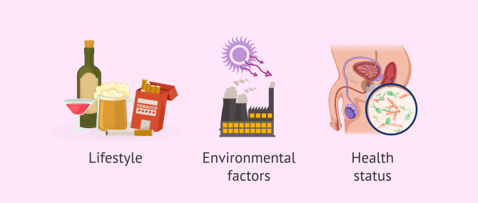 Imagen: Causes of oxidative stress in semen