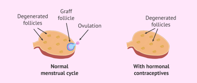 What is the birth control pill? - Efficacy, how to take it and risks