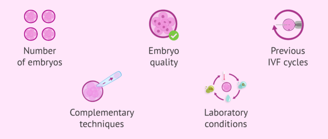 Imagen: Personalising the timing of embryo transfer