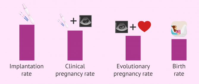 How Successful Is IVF With ICSI? - Pregnancy & Live Birth Rates