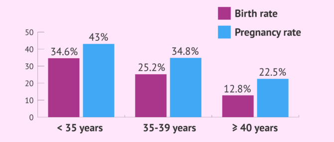 Imagen: Pregnancy and birth rates from IVF-ICSI with own eggs (fresh)