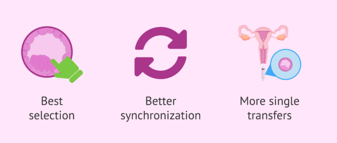 Imagen: Advantages of blastocyst transfer